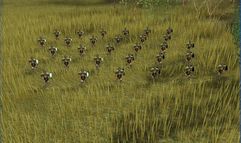 Hegemony: Philip of Macedon screenshot 4