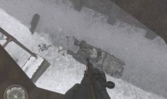 Call of Duty 2 screenshot 2