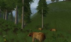 Age of Mourning screenshot 21