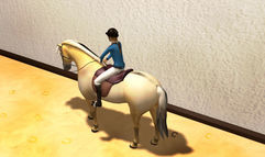 Rider's World: I Want to Ride screenshot 3