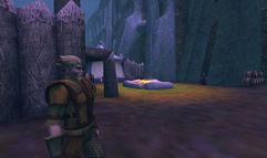 Asheron's Call 2: Legions screenshot 2
