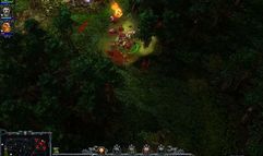 Heroes of Newerth screenshot 8