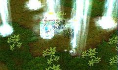 Gods War Online screenshot 1