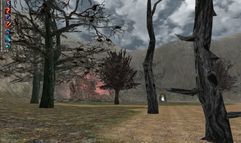 Knight Online screenshot 19