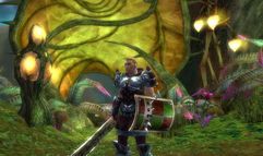 Guild Wars Factions screenshot 70