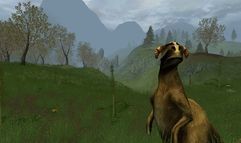 Age of Mourning screenshot 16