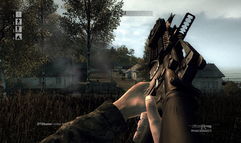 Operation Flashpoint 2: Dragon Rising screenshot 5