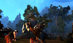 Age of Conan: Hyborian Adventures screenshot 3