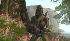 Tabula Rasa screenshot 6