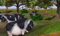 Wildlife Park 2 screenshot 1