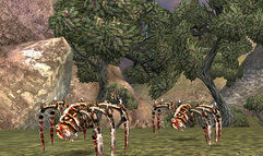 Tabula Rasa screenshot 22