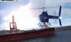 Flight Simulator X screenshot 16