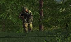 Armed Assault screenshot 2