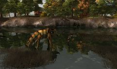 Silver Fall screenshot 5