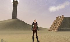 Vanguard: Saga of Heroes screenshot 6