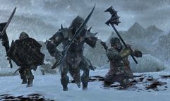The Lord of the Rings: War in the North screenshot 2