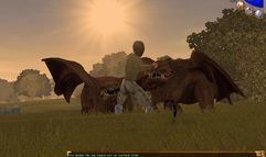 Wish screenshot 39